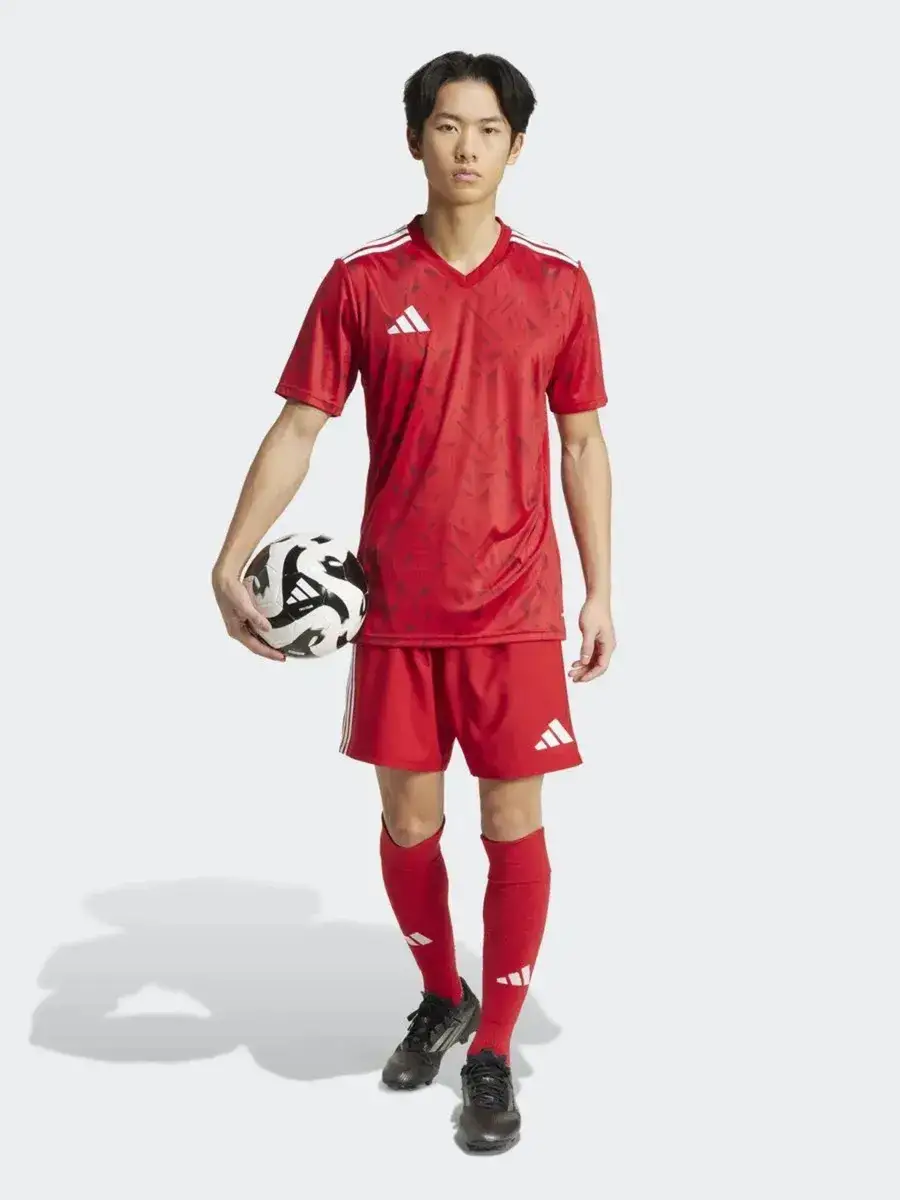 Футболка мужская Adidas T ICON25 JSY