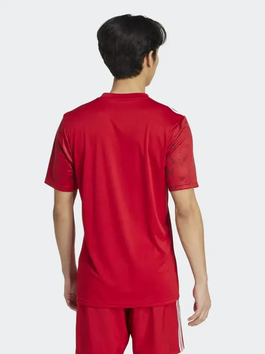 Футболка мужская Adidas T ICON25 JSY