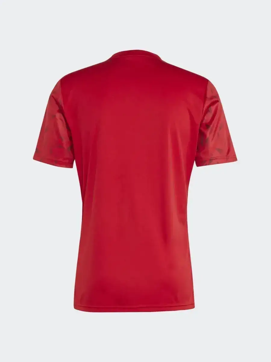 Футболка мужская Adidas T ICON25 JSY