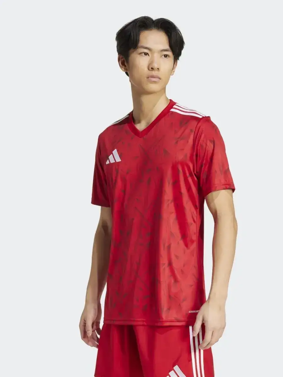 Футболка мужская Adidas T ICON25 JSY