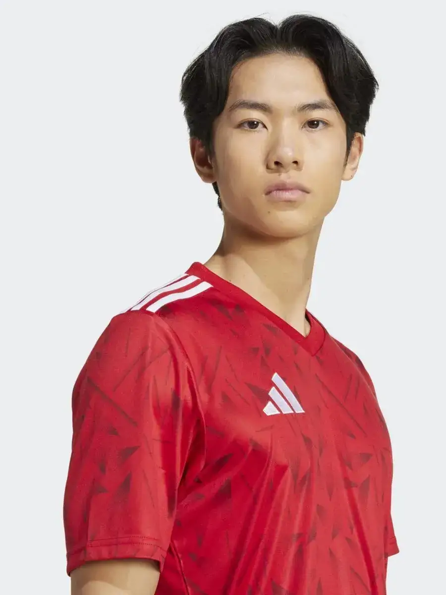 Футболка мужская Adidas T ICON25 JSY